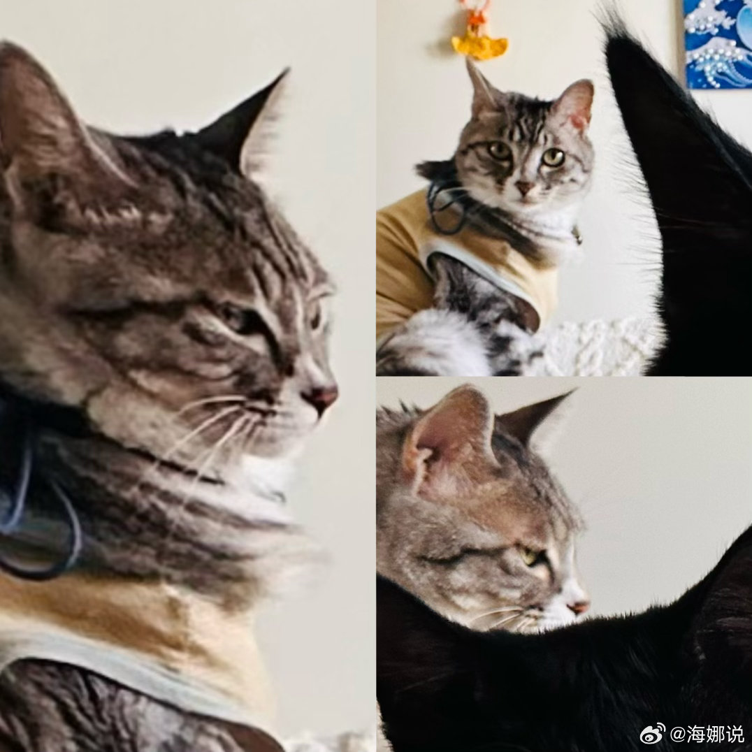 身体的行为归潜意识掌管，潜意识是众生根连根之处，它的方向不由个人说了算，潜意识的