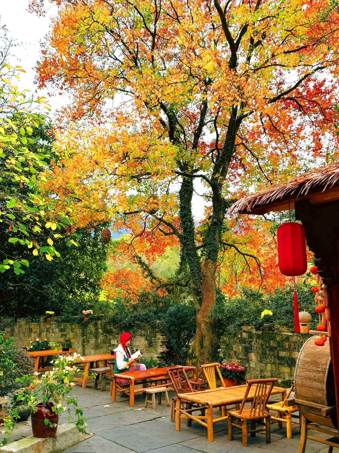 live😭美到窒息！我看到了人生最美的秋🍂