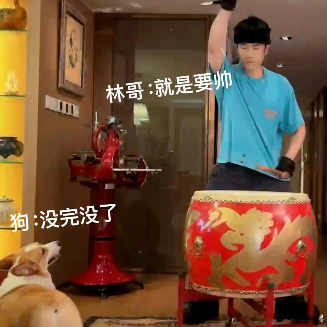 #林依轮家的柯基也是披哥受害者##披荆斩棘#音乐不分你我他，林依轮家柯基打鼓，和