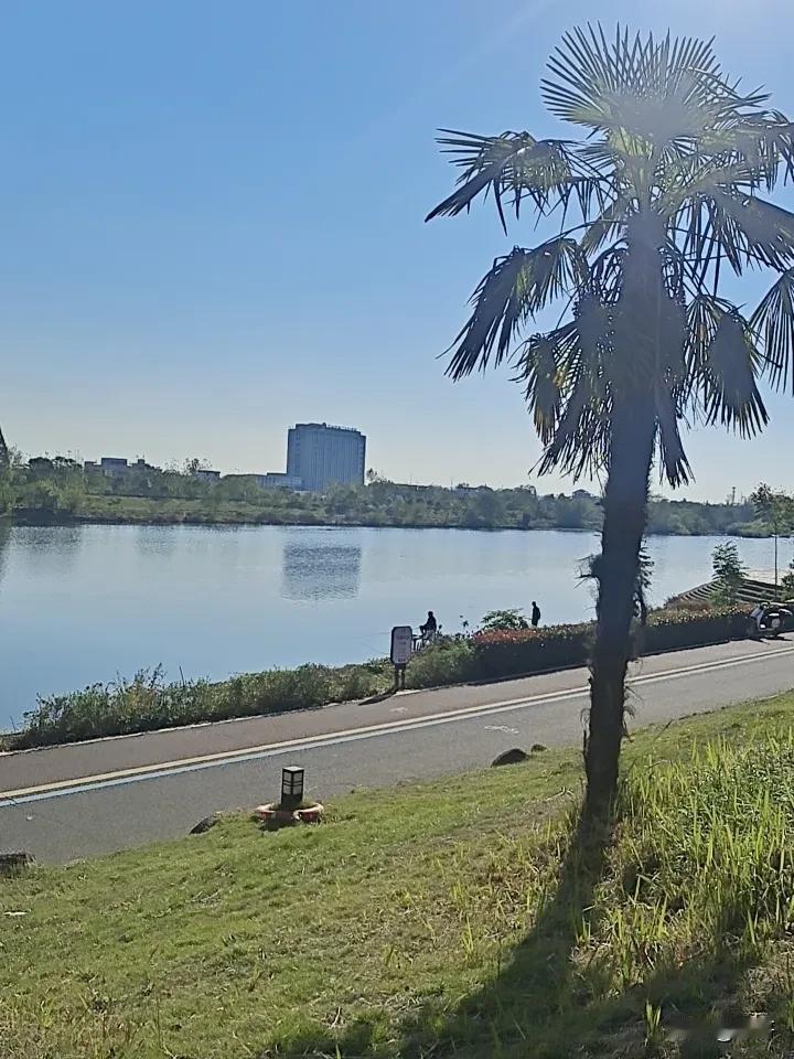 不必追赶时间，只需放缓脚步——风里藏着草木的清香，耳畔是江水的低语，连落日都舍不