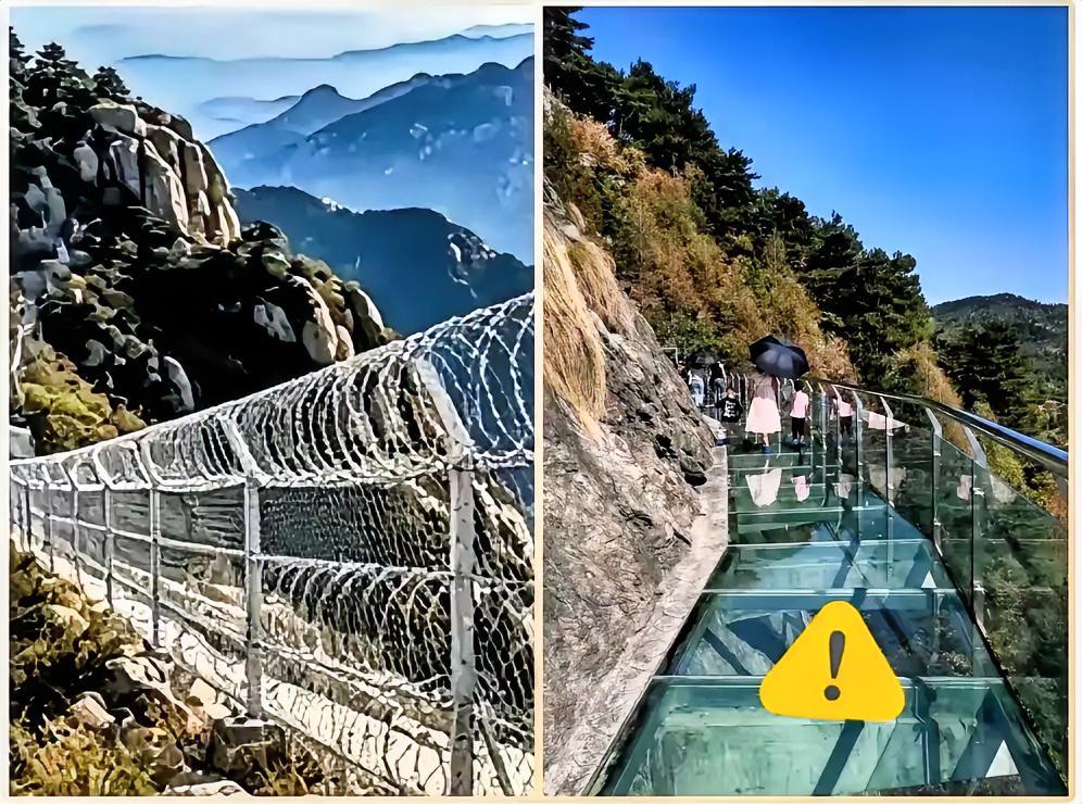 备受热议的泰山刀片刺绳隔离网，如今正式进入全面拆除阶段。但我有个疑问一直堵在心里