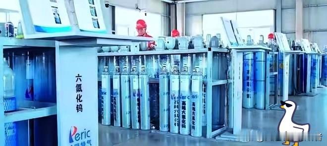 日本六氟化钨永久停产，全球3000吨缺口待补！中船特气155天市值暴涨586%，