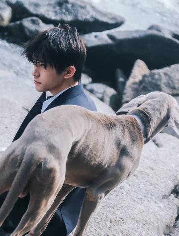 易烊千玺海边高智感  易烊千玺海边高智感这真的是太帅了吧，24岁到25岁之间，在