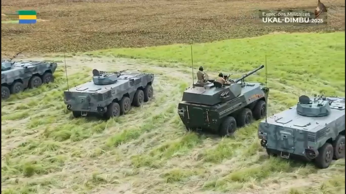 加蓬从我国进口的VN-1大八轮和WMA301突击炮 