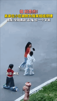 弟弟被欺负？姐姐来了！追到家长面前也要跟你讲道理 [捂脸]