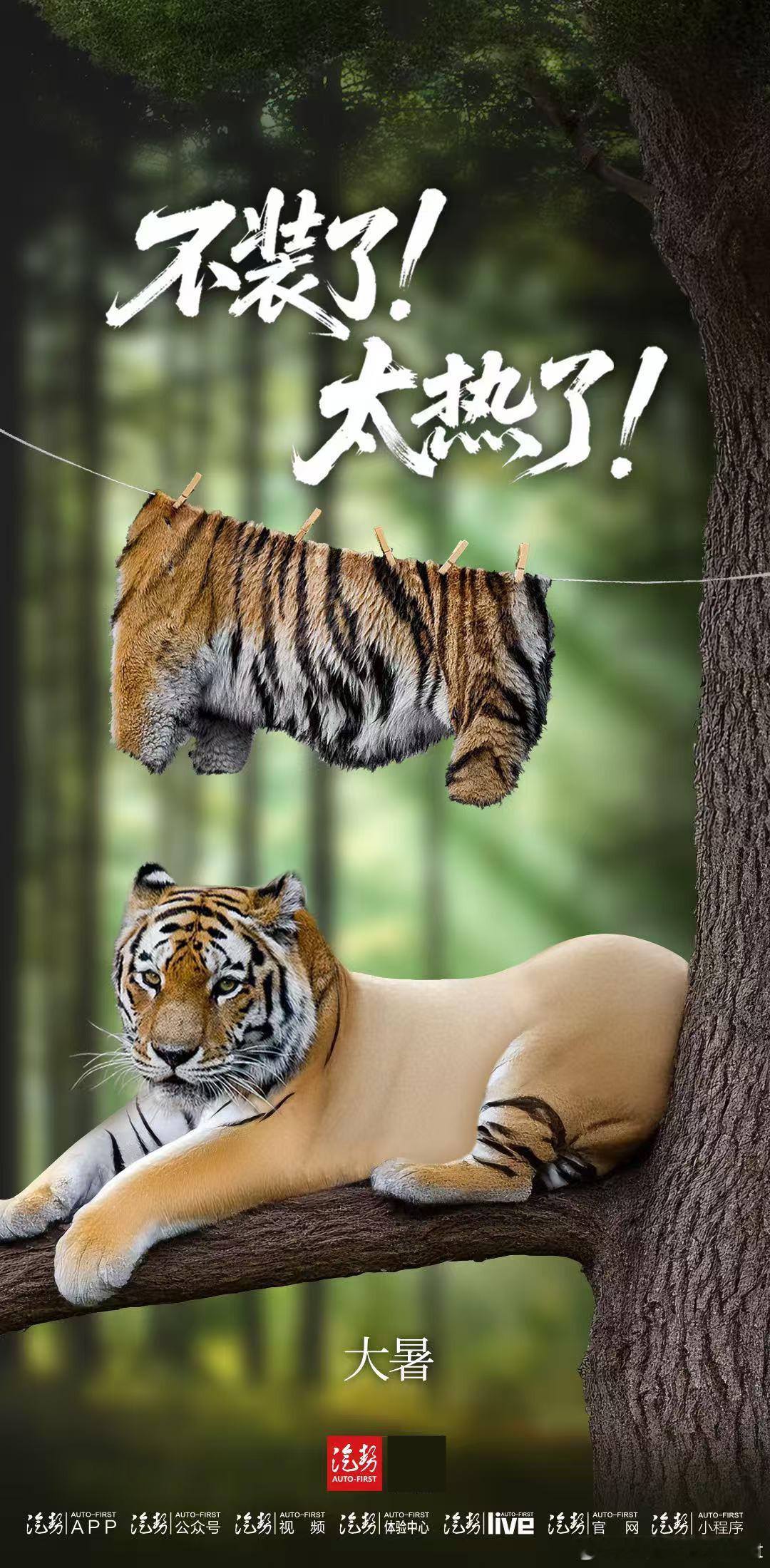 大暑这个不一般！~今日大暑三候腐草为萤，土润溽暑，大雨时行。 ​​​