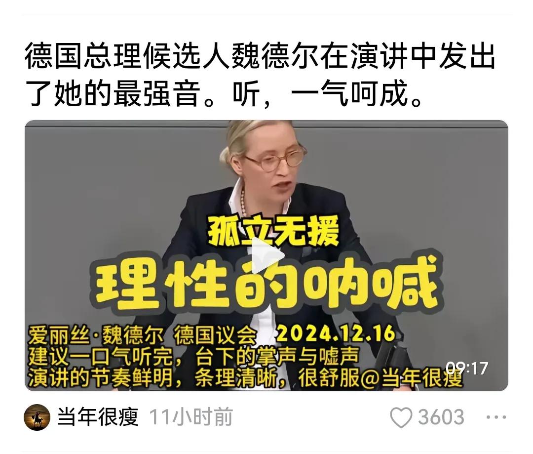 这个维德尔不知为何在中国红那么快，红那么红！维德尔为德国选择党党首，德国选择党只