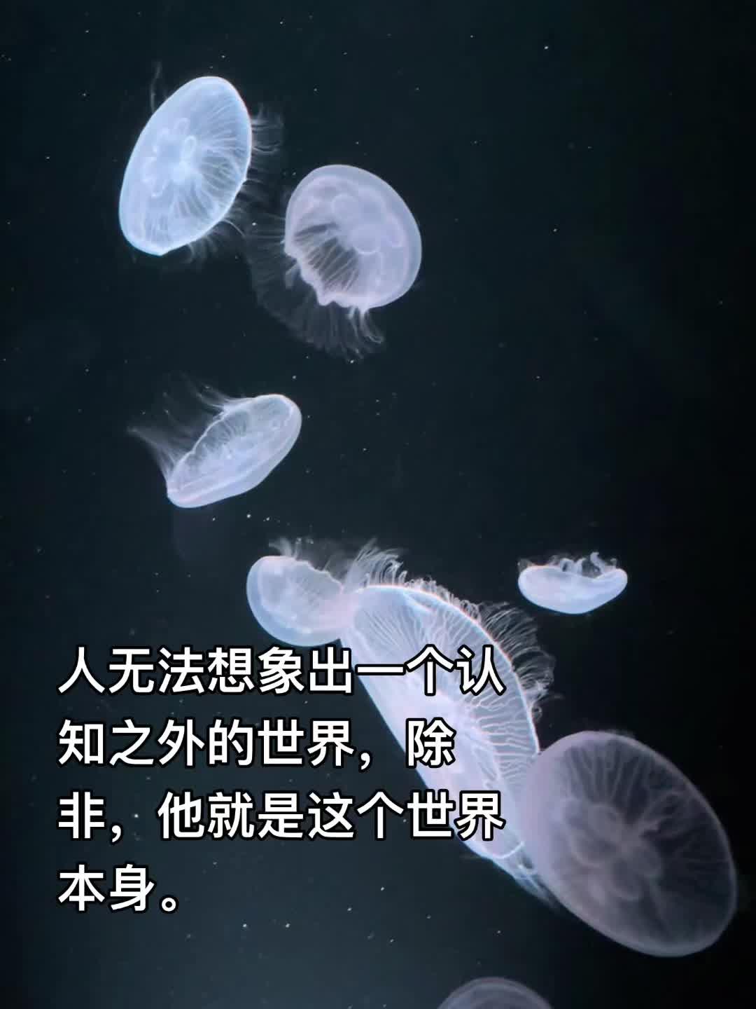 按F键逃离世界这么好看的文竟然数据这么冷门，作者讫讫文笔很好，我全程没...