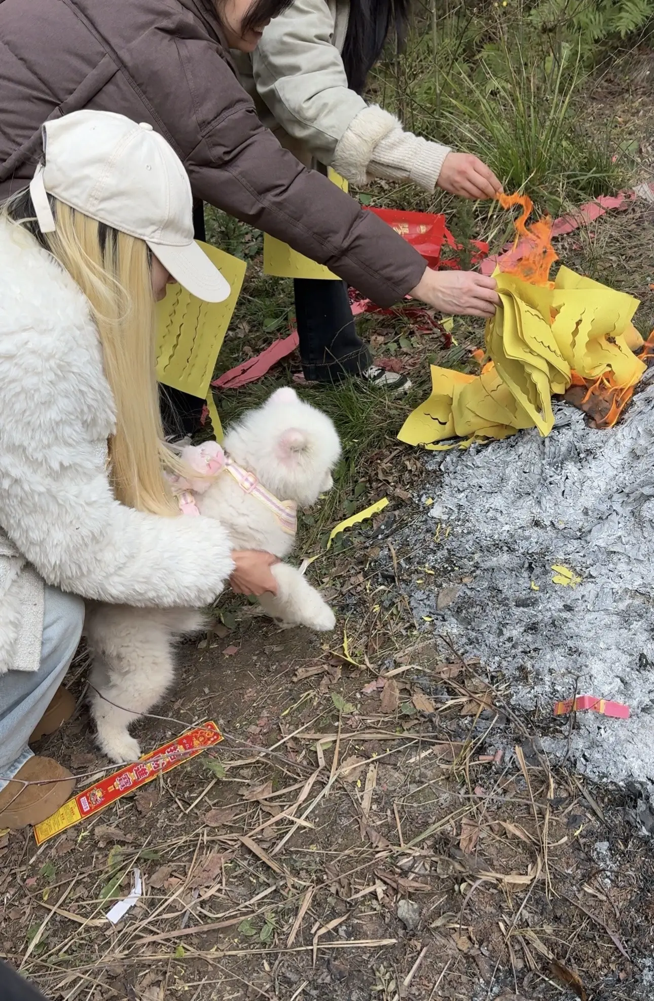 从杭州回来这段时间带着狗子去看了外婆3次 因为外婆喜欢小狗，记得小时候...