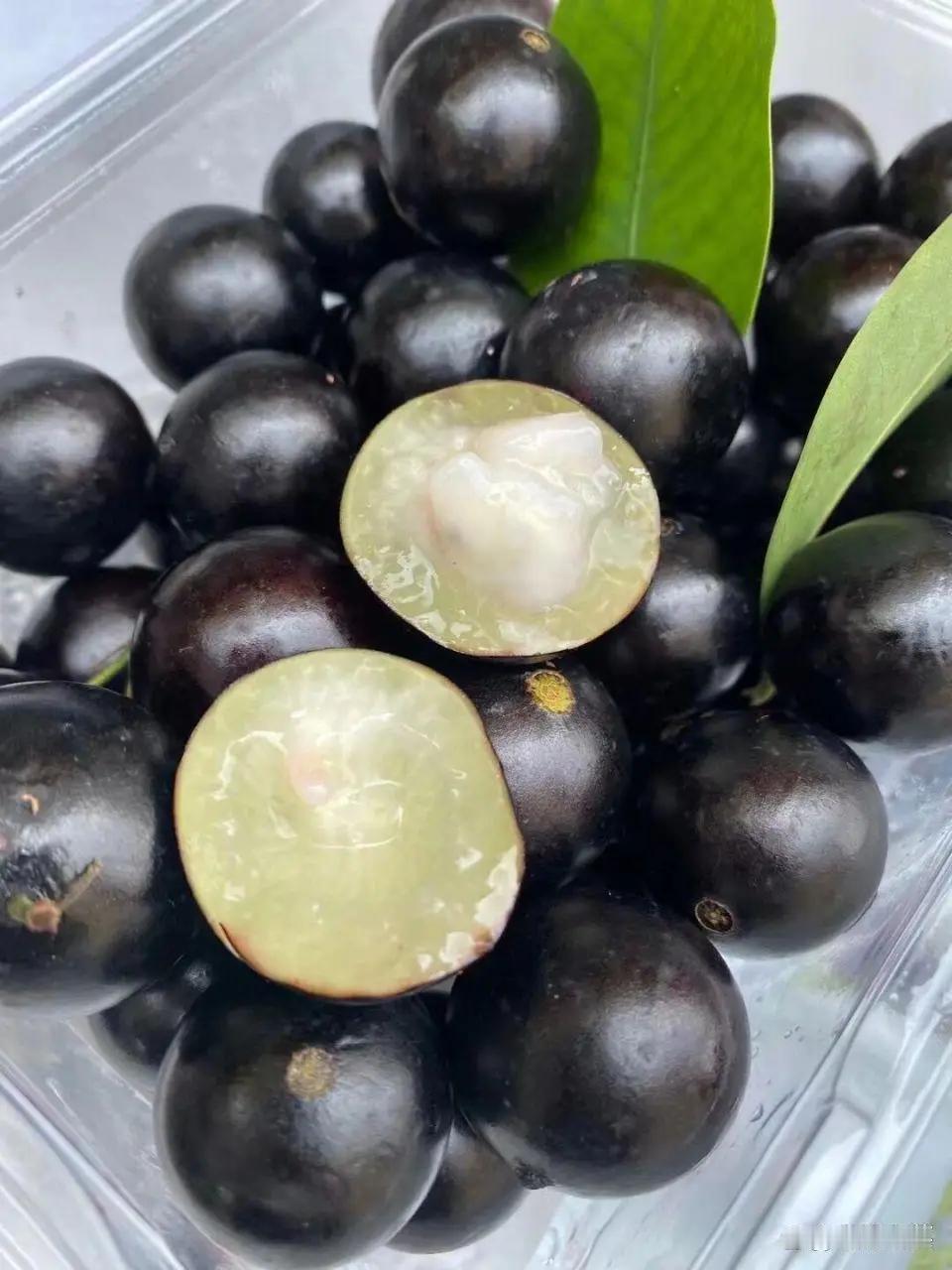 嘉宝果美食打卡攻略｜解锁黑珍珠神仙吃法！
谁还没吃过长在树干上的黑宝石！嘉宝果也