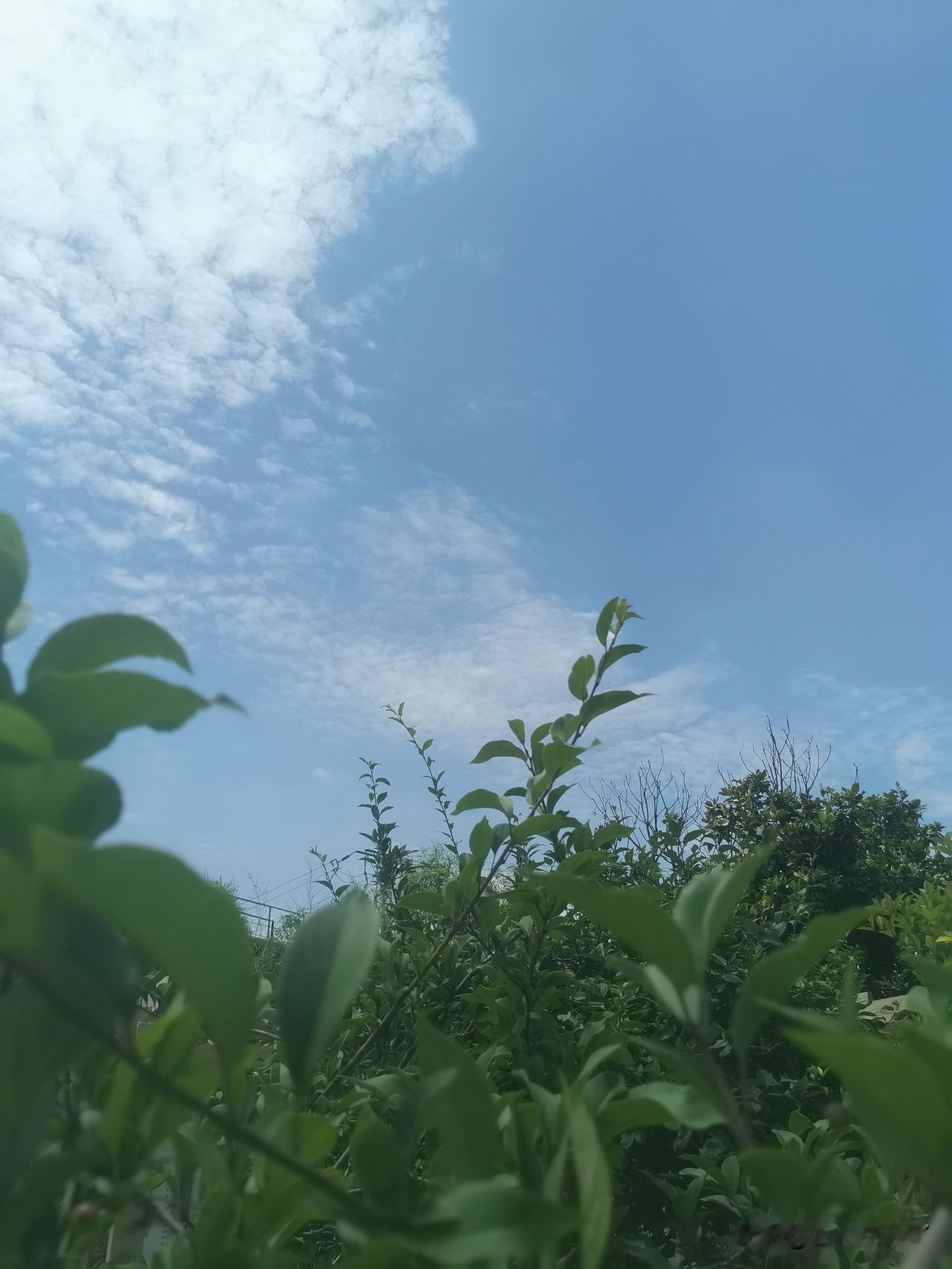 我认为支持
男性拥有育儿假是一件好事。有假，哪一个不喜欢，但是现实并不是你想象中