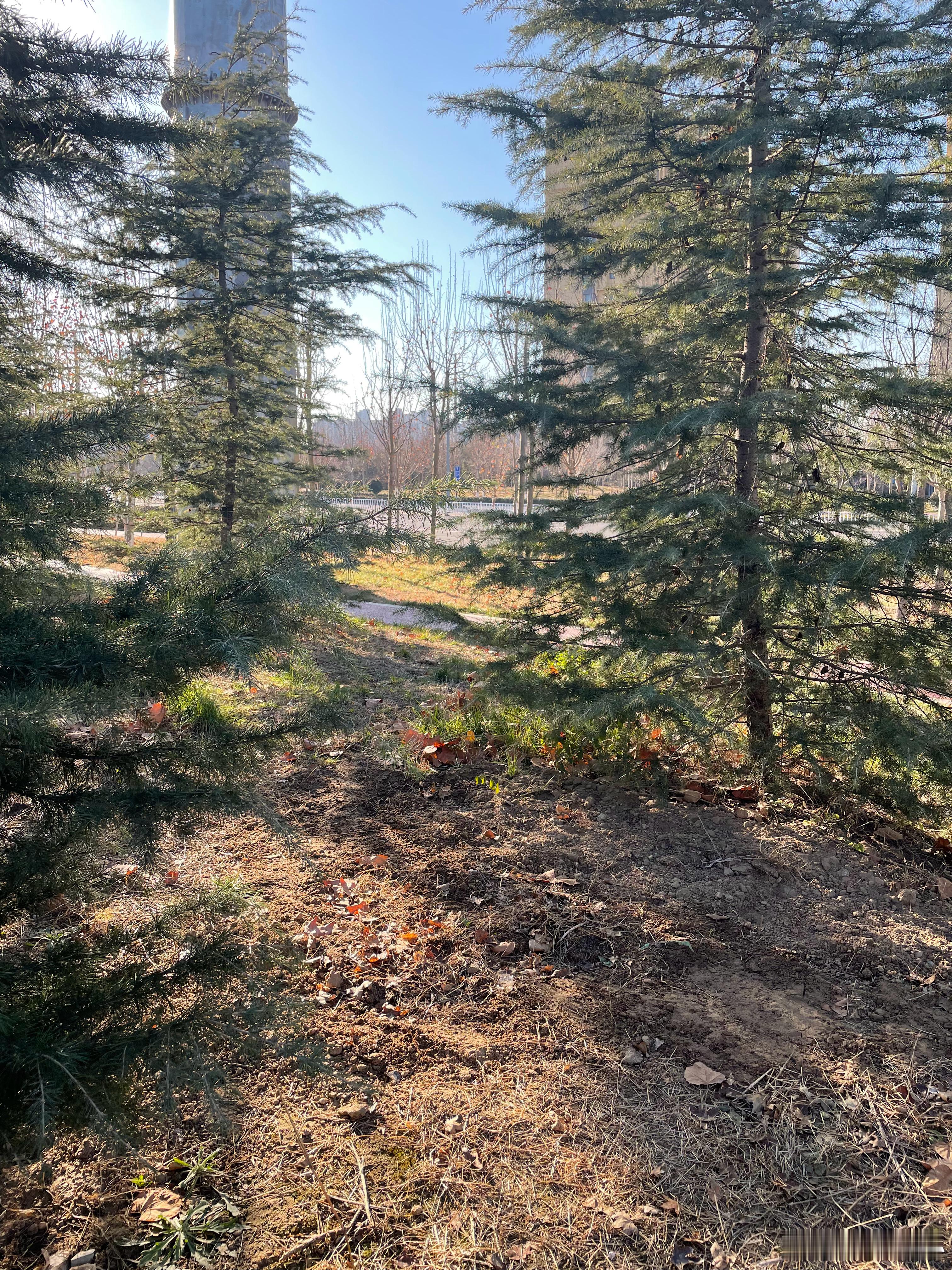 阳光-一个月安好 