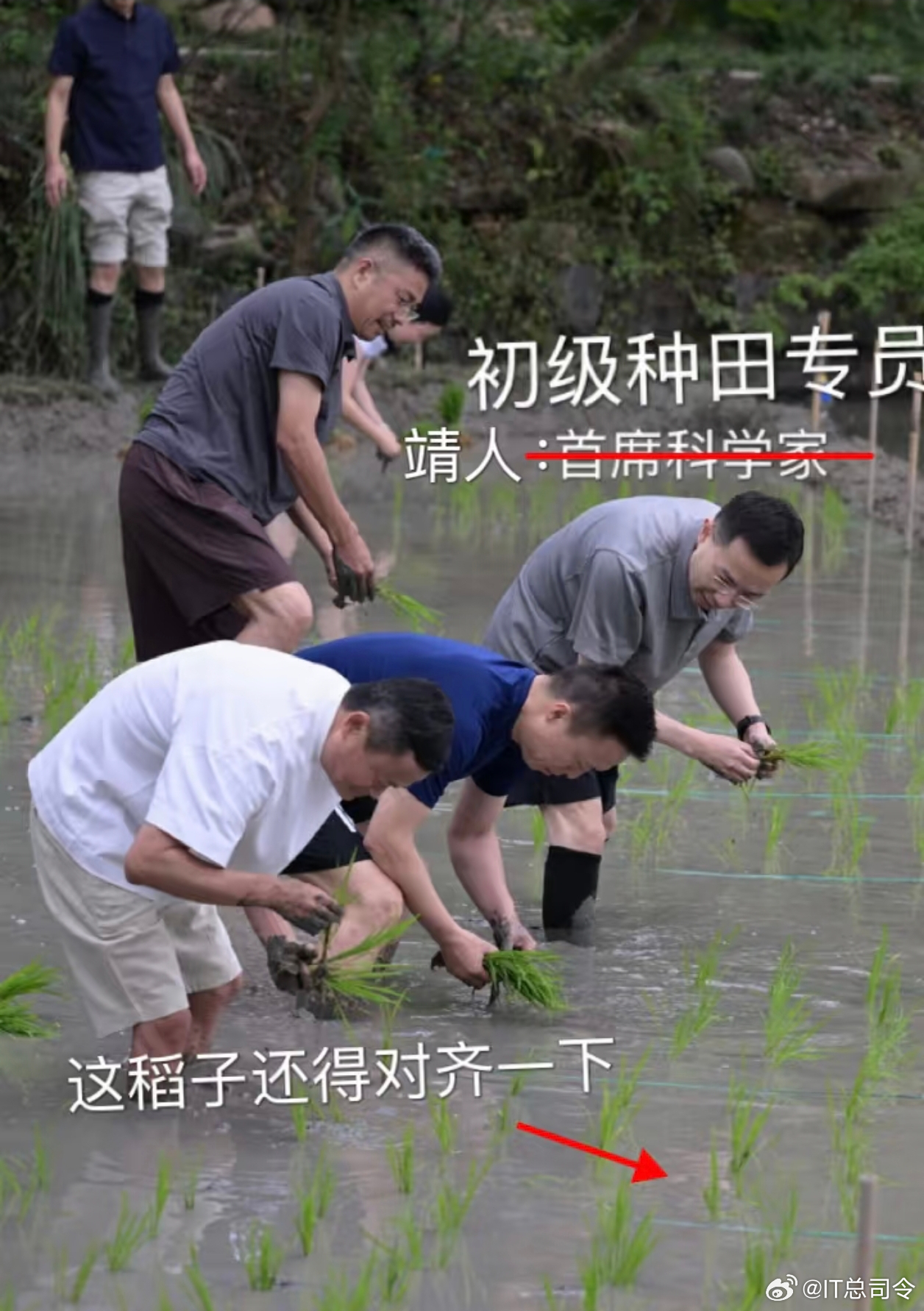 起猛了，马老师带着大家下田种地？大家看到阿里+蚂蚁的管理层的团建图了吗？马云、吴