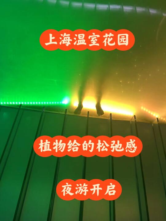 植物带来的松弛感，上海温室花园夜游开放