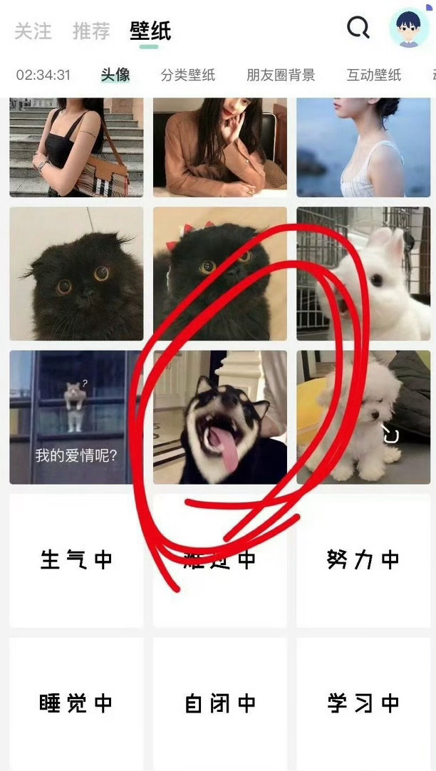 打个游戏都能匹配到我家66男神，冷知识21年柴六斤在头像库混的可好了 
