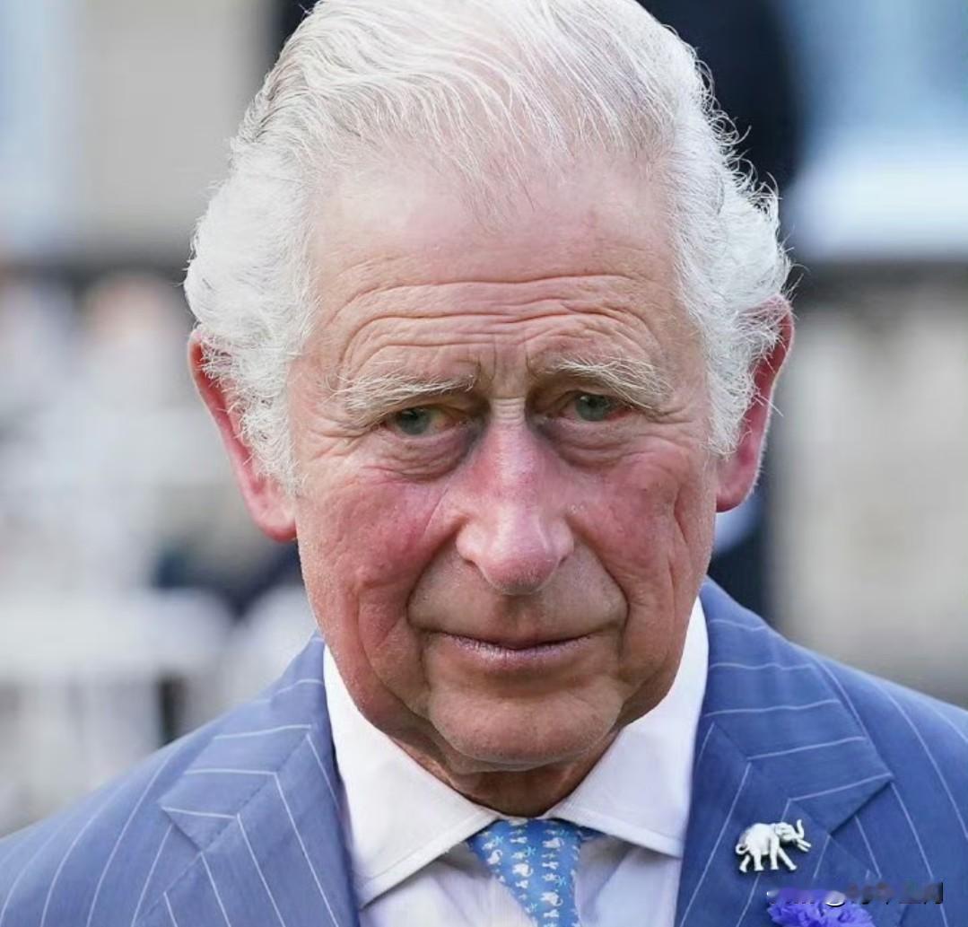 英国国王查尔斯已剥夺其弟弟安德鲁的王子头衔，并将他从温莎城堡驱逐出去。

英国白