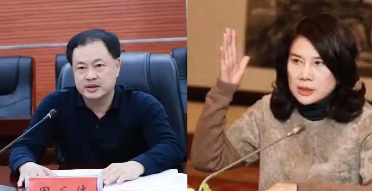 周乐伟突然主动投案，瞬间撕开了格力当年那场资本大戏的旧伤疤。
很多人只记得董明珠