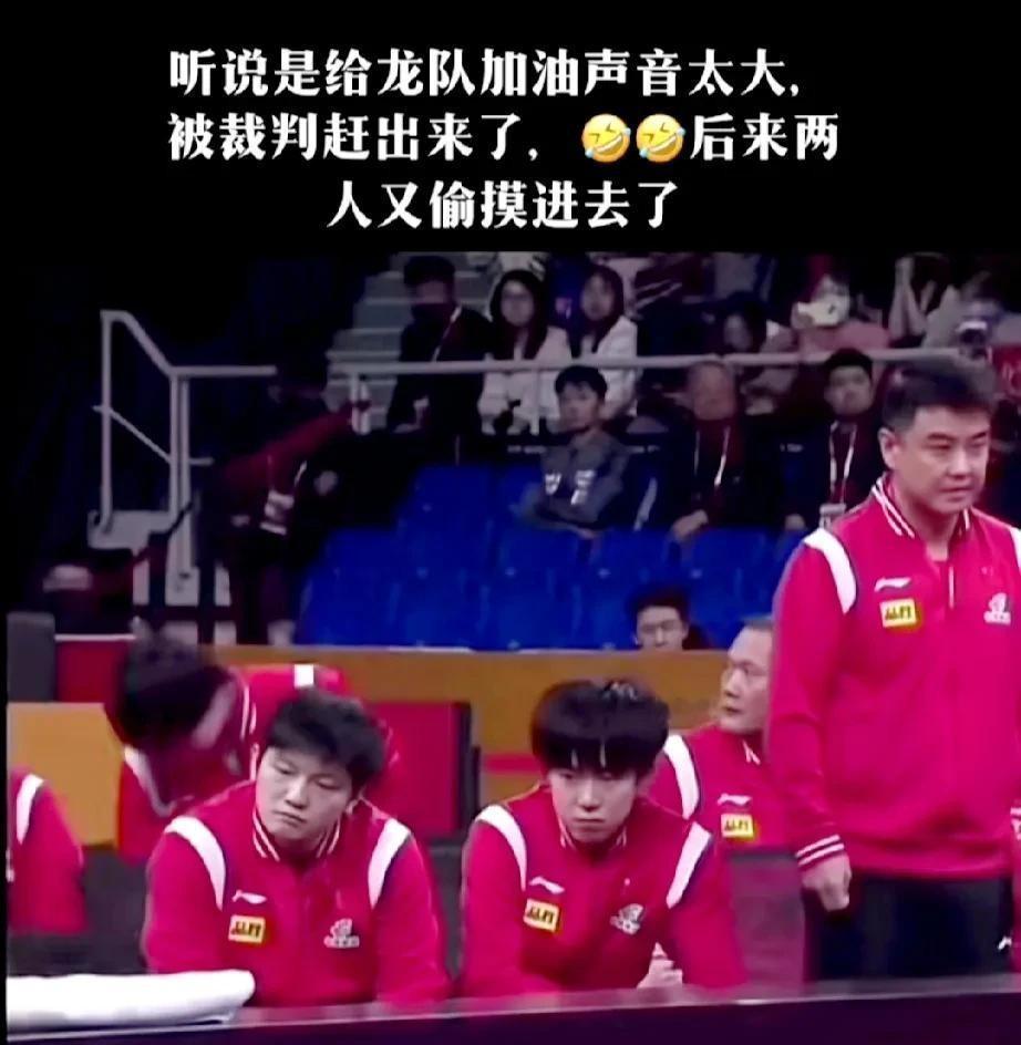 ――震撼！看台上的呐喊声竟引发轰动，结果出人意料。
比赛当天，“没头脑”和“不高