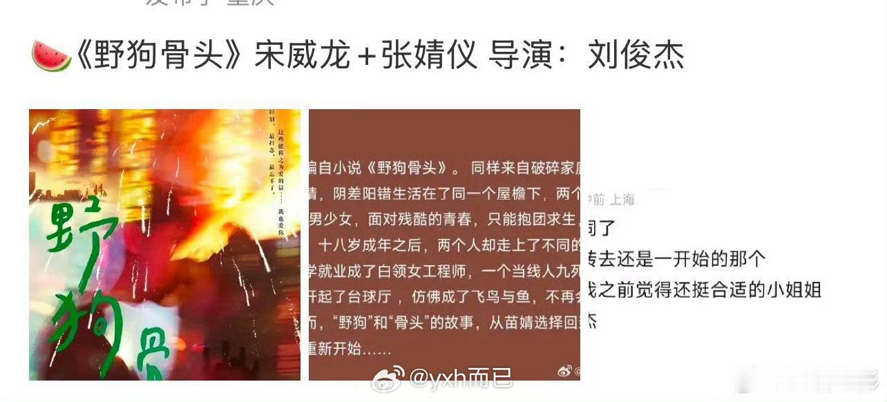 我🌿 野狗骨头 宋威龙张婧仪 但是🐉哪里是糙汉了 🐉是青春阳光男大 