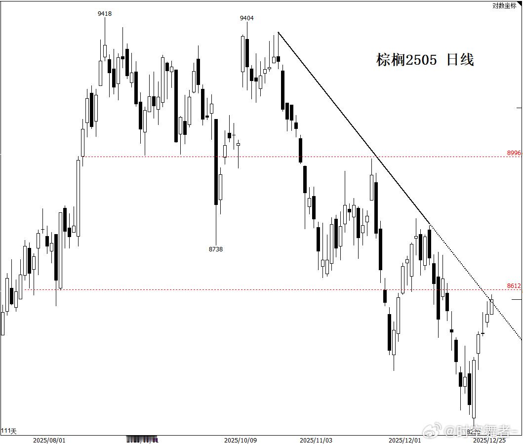 棕榈2505 日线期货