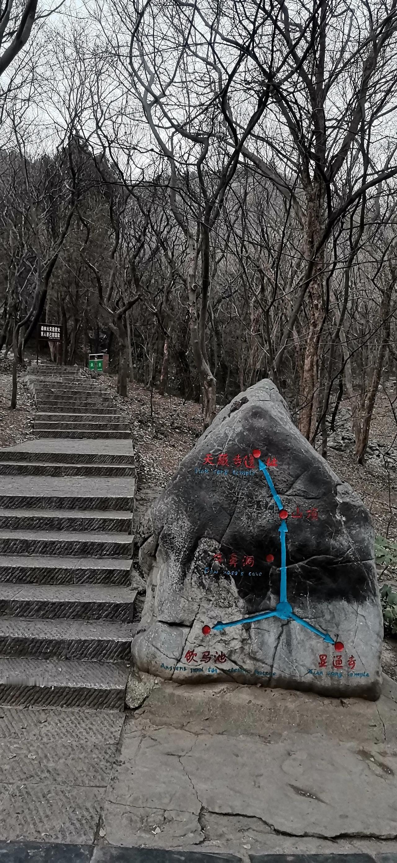 随手拍好图