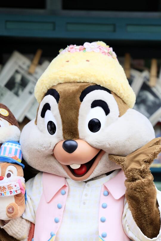 ❤️奇奇蒂蒂小可爱❤️