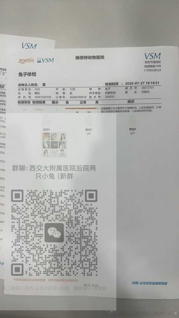 14256🐇【求助】可以帮帮两只相依为命的小兔吗~西安交大附属医院后院，有两只
