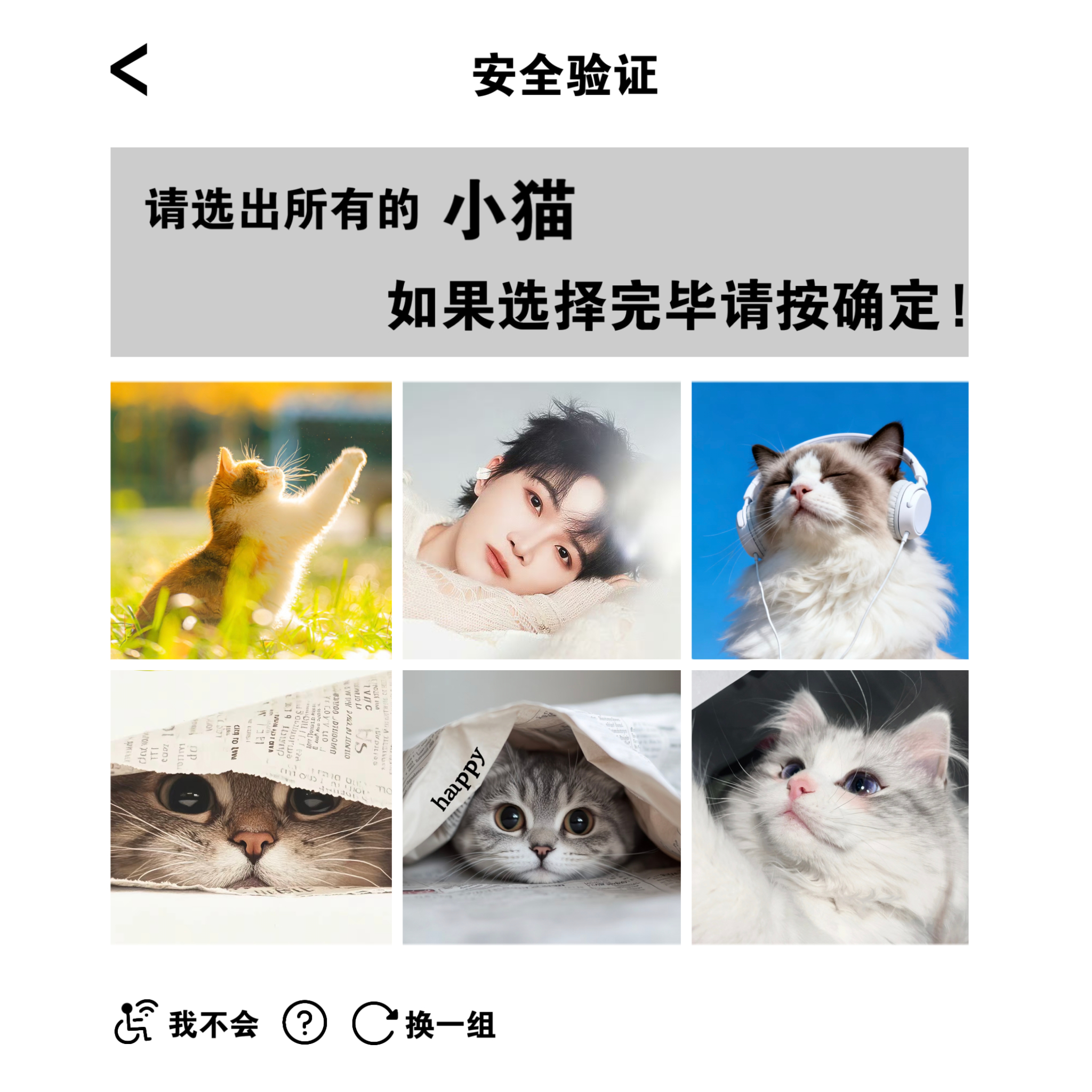 突然..一条 [安全验证] 弹出...你如何选择呢...[提示：只可以选择小猫]