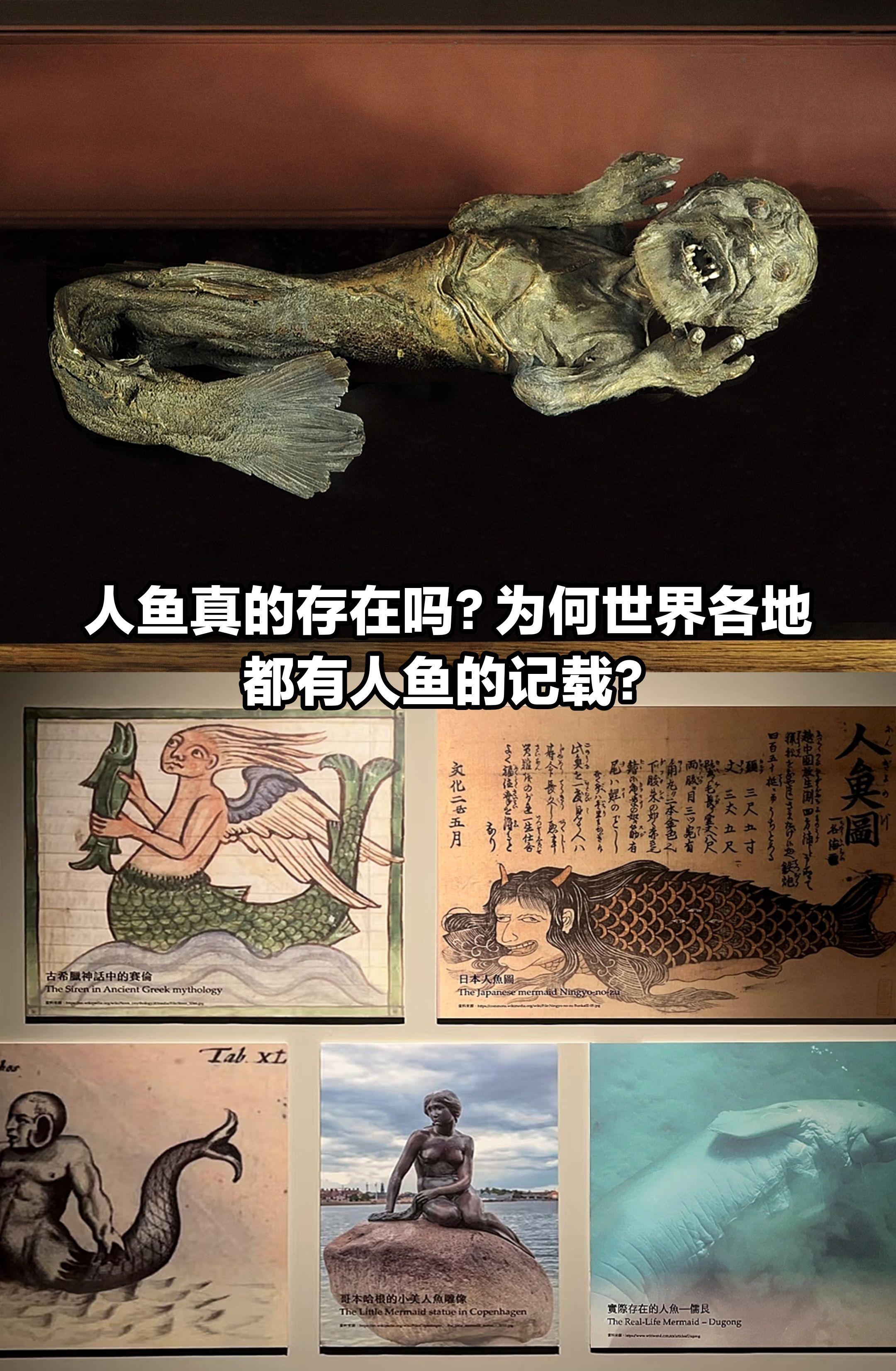 人鱼真的存在吗？为何世界各地都有传说？