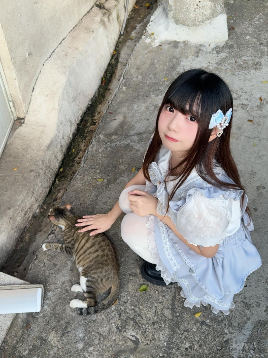 ねこ（╹◡╹） 