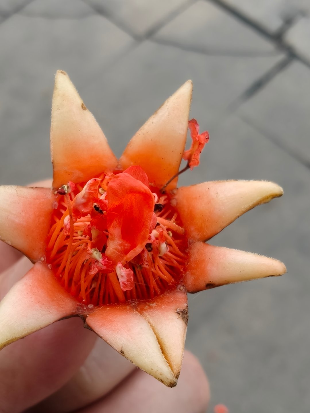 早，又是开始努力搬砖的一天每天早起打卡 ​​​