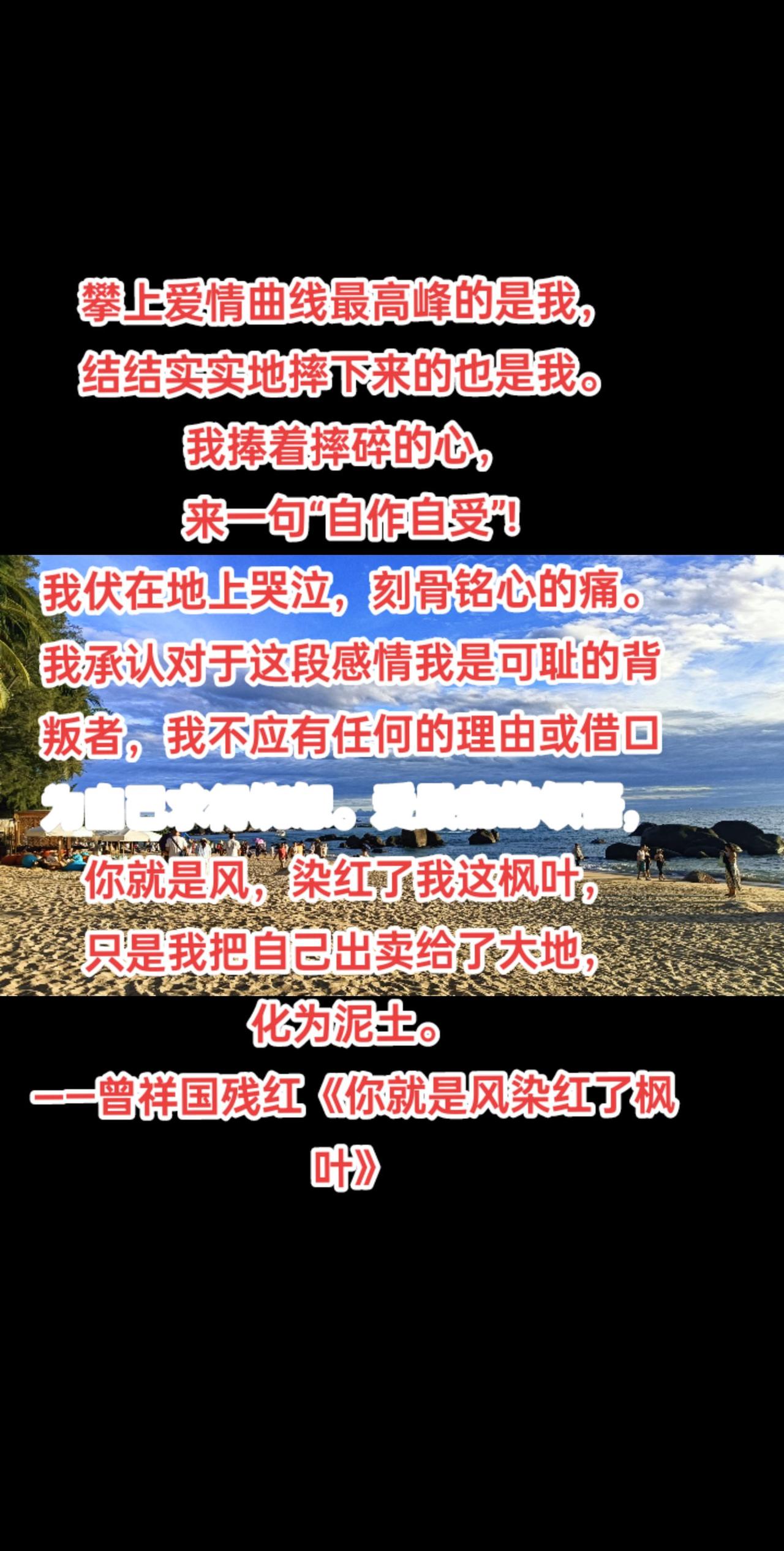 攀上爱情曲线最高峰的是我，
结结实实地摔下来的也是我。
我捧着摔碎的心，
来一句