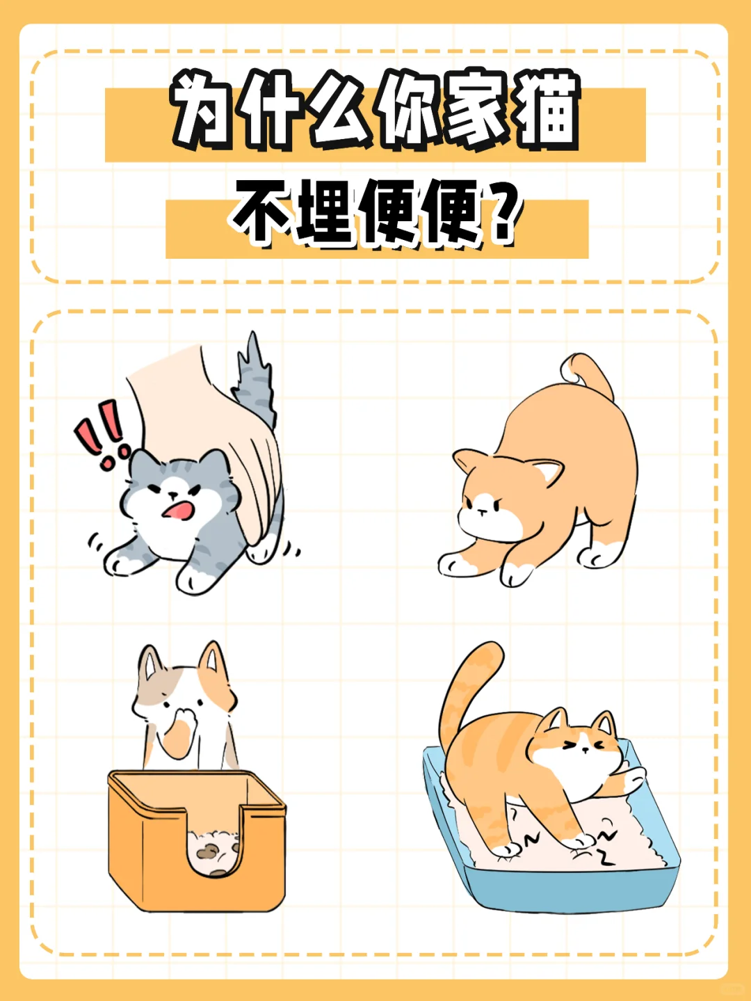 为什么你家猫不埋便便？