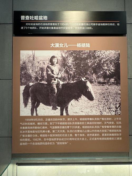 1958年，爱国将领杨虎城的女儿杨拯陆在筹备婚礼期间离奇失踪，几日后，她的尸体出