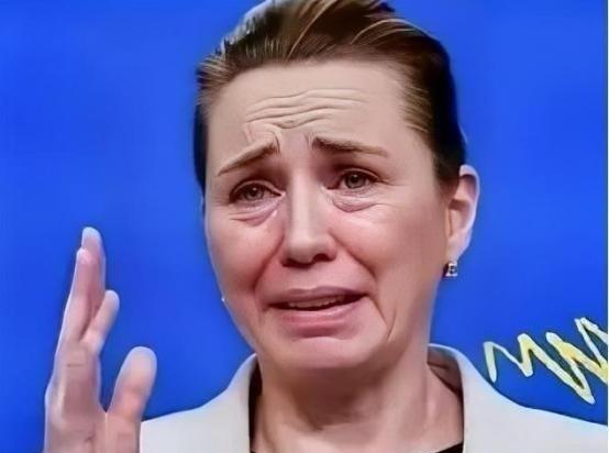 丹麦政府为何痛恨中国？ 
 
之前顶着特朗普购岛危机的压力，丹麦外交大臣拉斯穆森