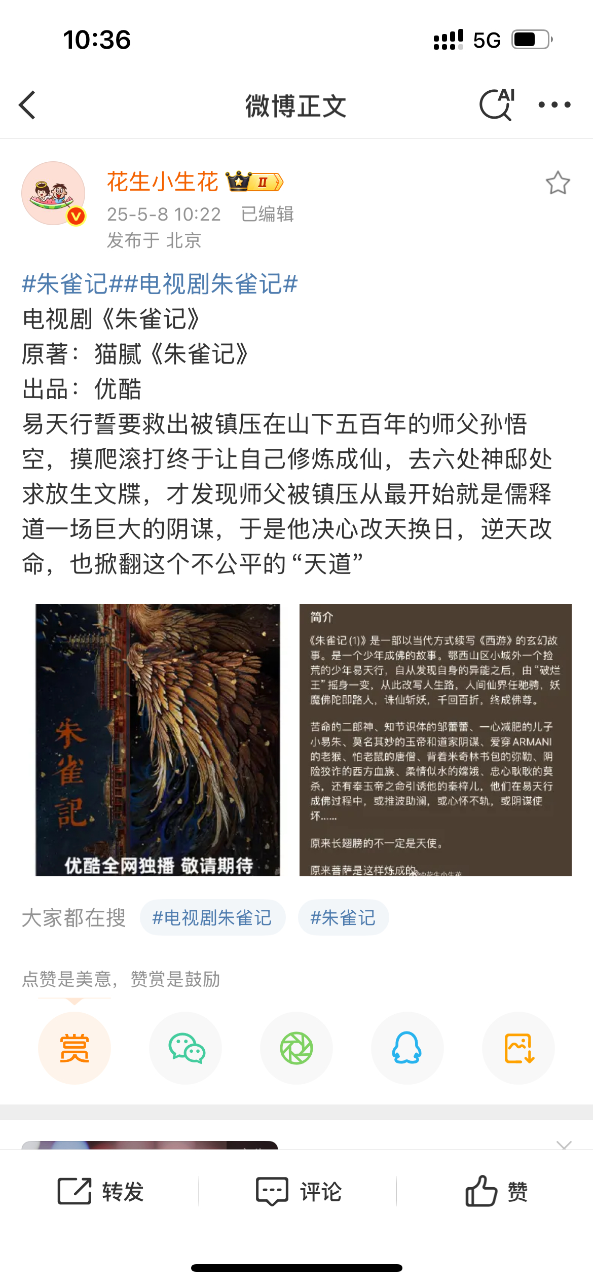 ⭕ 【待拍男频IP➕1】朱雀记 ​​​