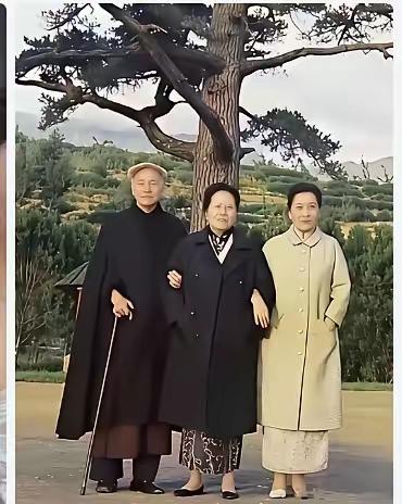 看看这家人是谁