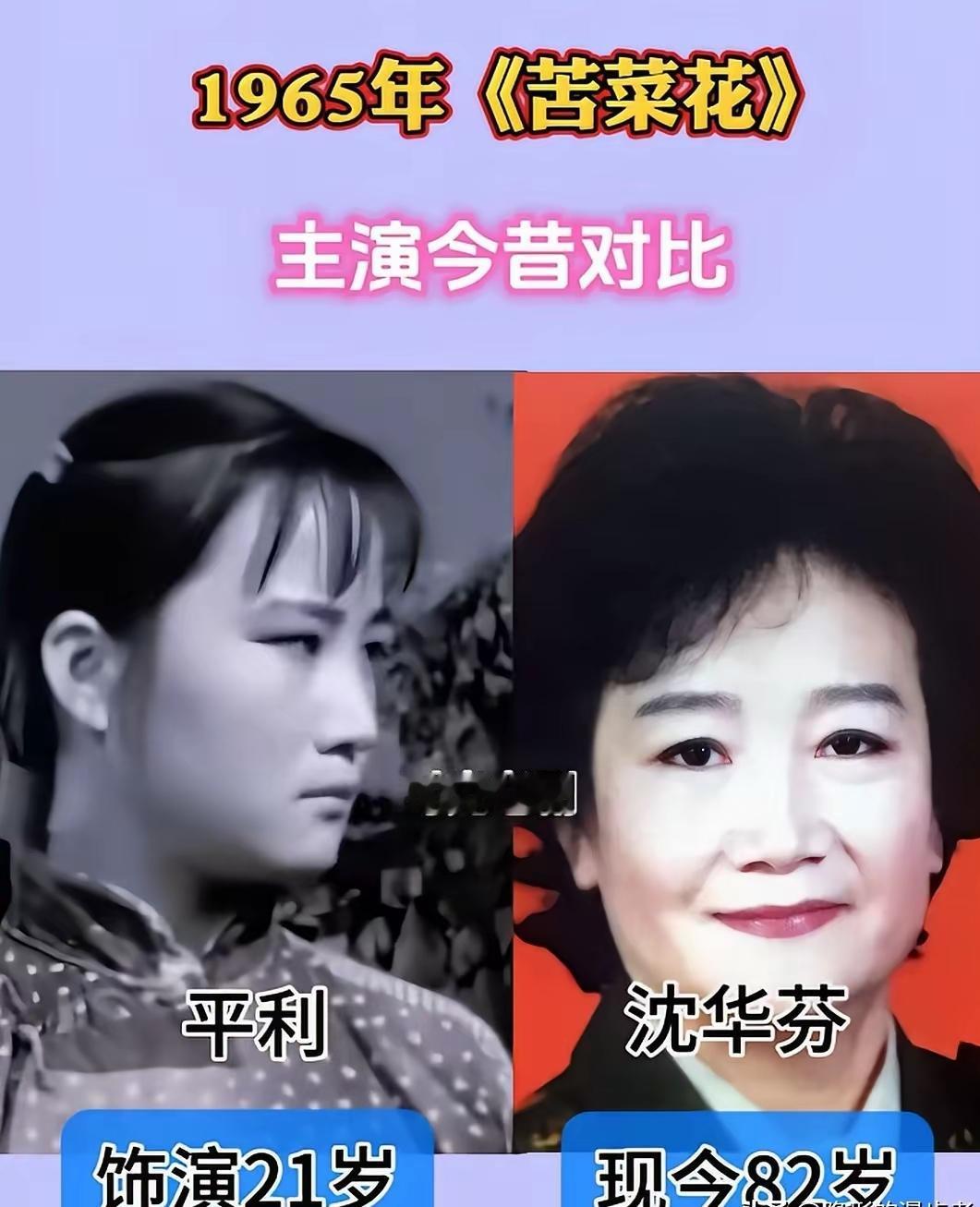 重温经典《苦菜花》，瞬间被老一辈演员的演技打动。
沈华芬、杨雅琴、袁霞、曲云一众