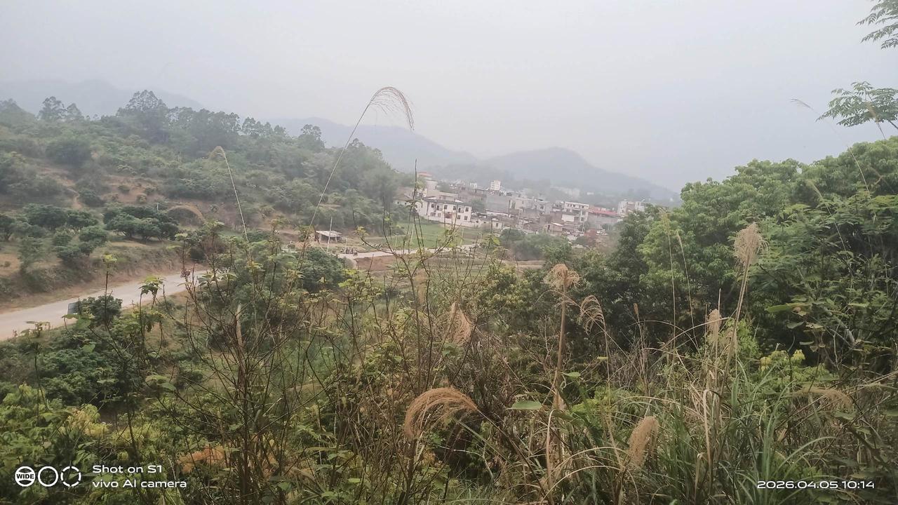 过来拜发了！祈求祖先的保佑。不知拜山的时候是站在自己的右边还是坟山的右边？所以我