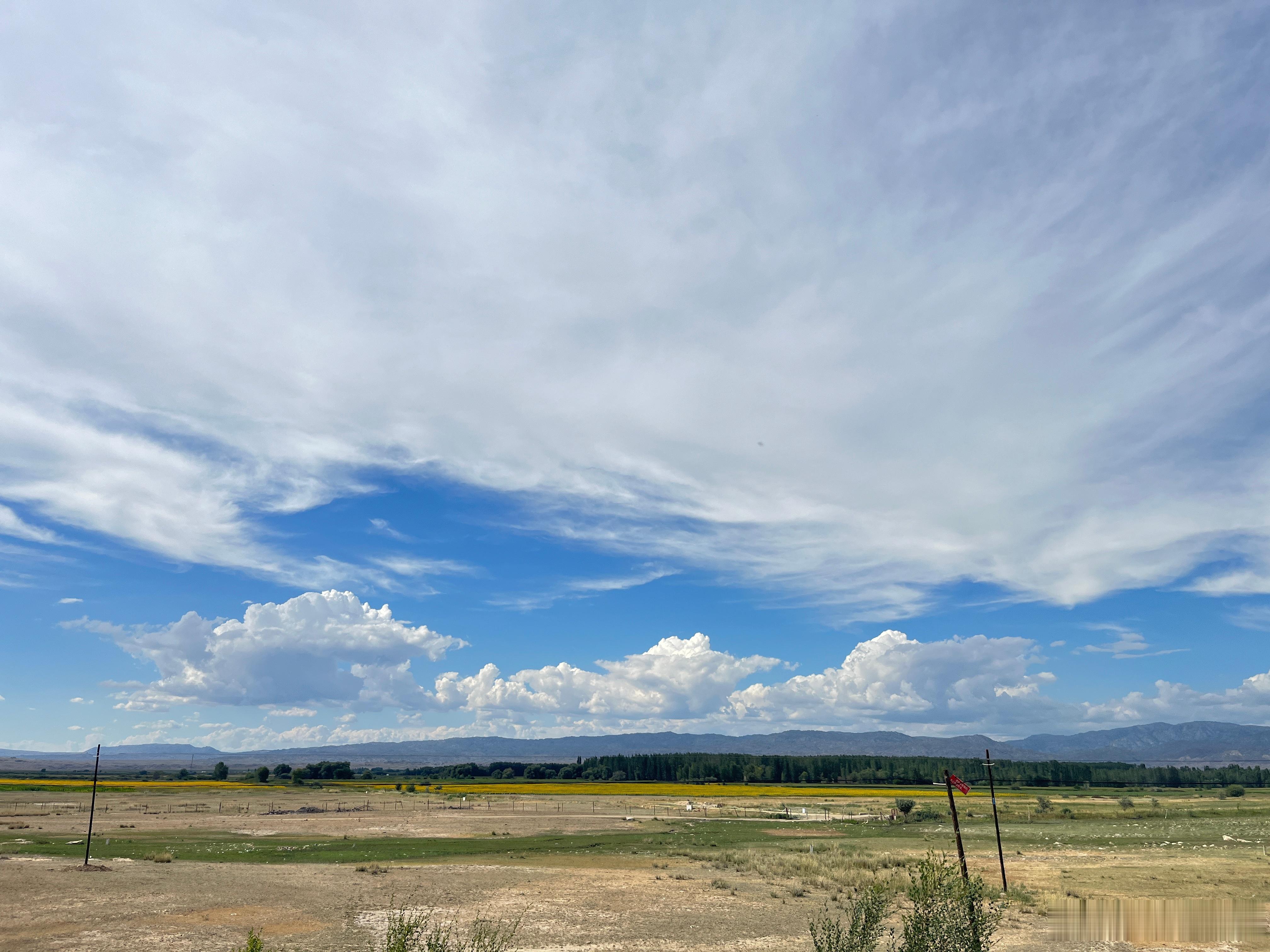 飞机免费退改票真的来了东航的免费退改太友好了吧，有的航司退费几乎要一半票价，友好