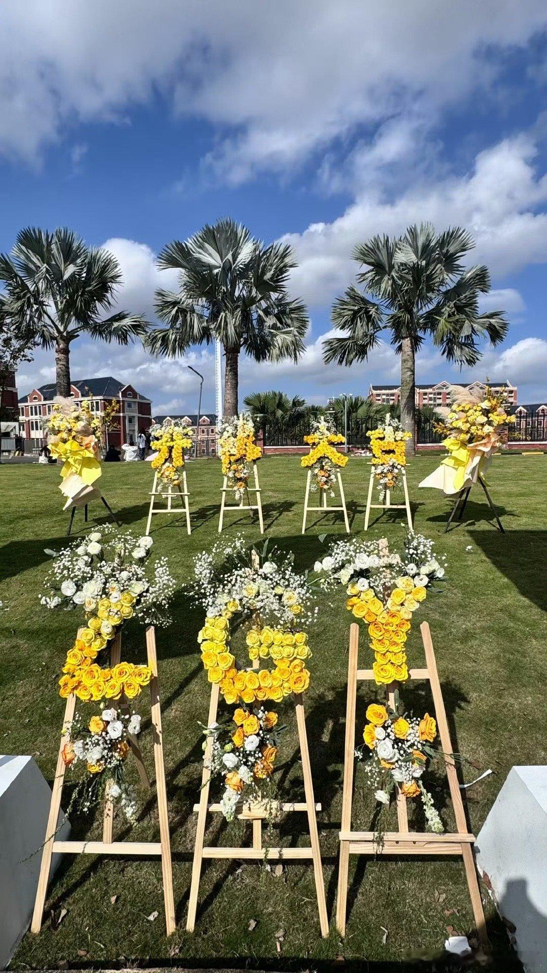 tg 张桂源家的应援 