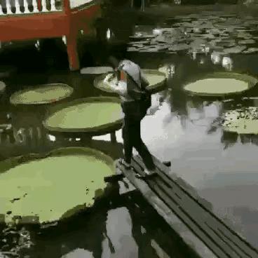 妹子把这当成仙剑奇侠传了