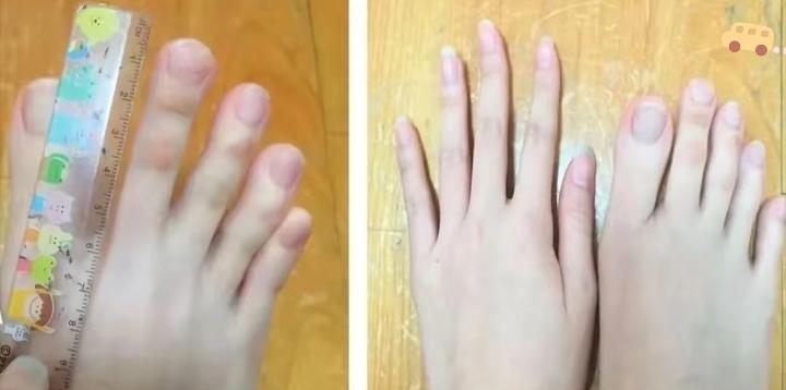 手和脚，生来是一对双胞胎。
五根指头，骨头架子长得像。
一个捏筷子，一个站地皮。