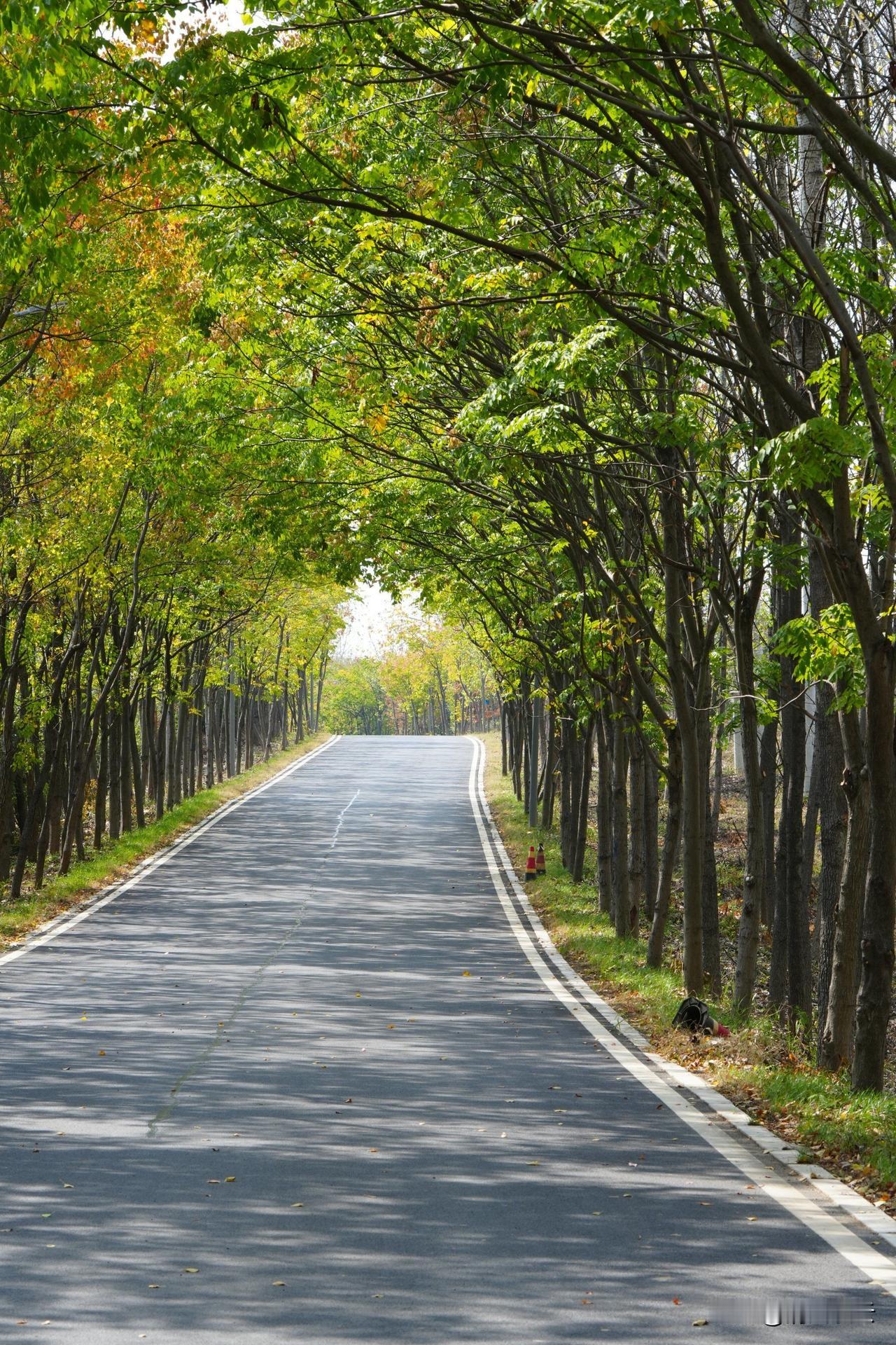 借钱还钱，天经地义，你怎么让我这么为难呢？

借钱不丢人，自己能还上，那才是本事