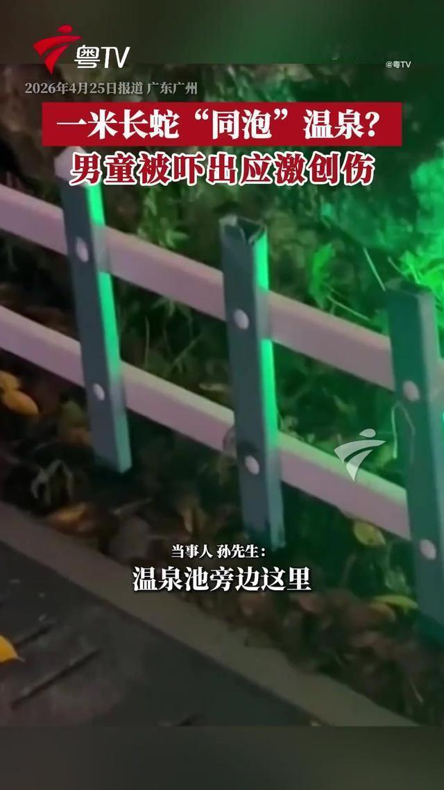 温泉遇蛇惊伤孩童，酒店推诿责任难服众
广州增城一温泉酒店突发惊魂事件，游客消费反