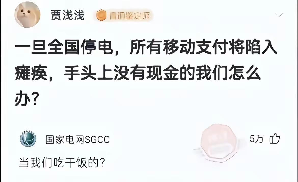 全国停电？那不就是世界末日了吗。地球都废了，你还操心有没有现金支付？哎！她是怎么