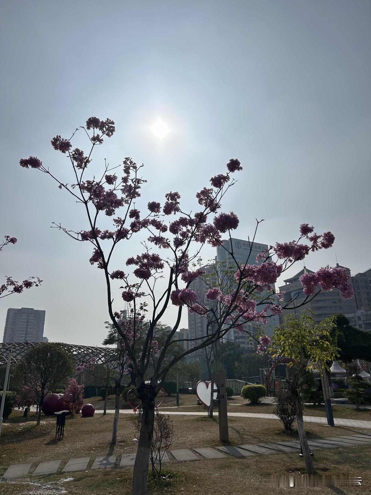 性格会不会决定命运，我不是很确定！

但是我觉得性格肯定是可以反映出一个人做事的