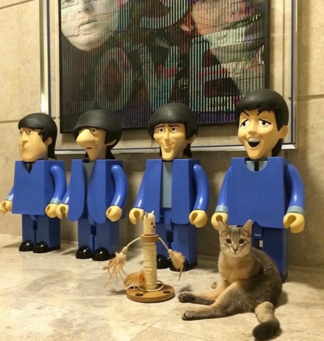 志龙服兵役期间姐姐帮他照顾小猫*一些姐姐视角下的iye 772 