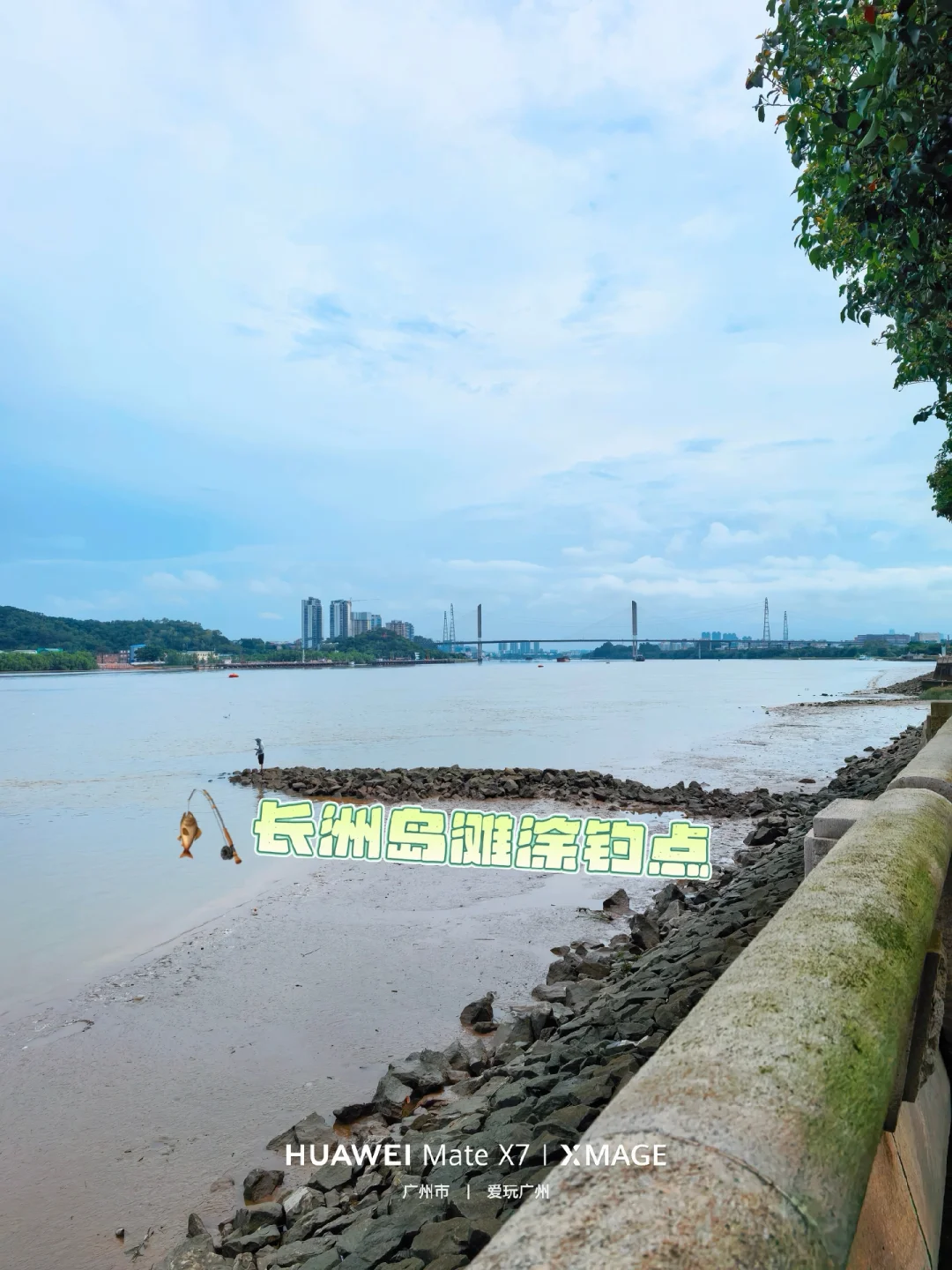 广州钓点推荐：长洲岛滩涂