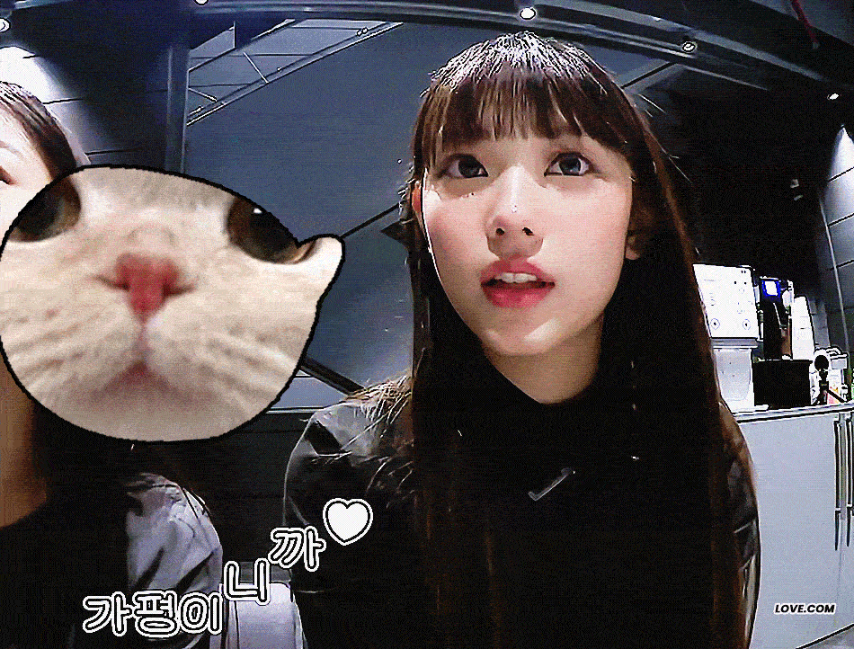 永远支持haerin哦 我一直在等你